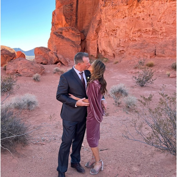 Betsy & Adam Rose Velvet Dress - Picture 2 of 14